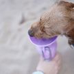 Springer 22oz - Travel Bottle - Lilac