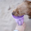 Springer 22oz - Travel Bottle - Lilac