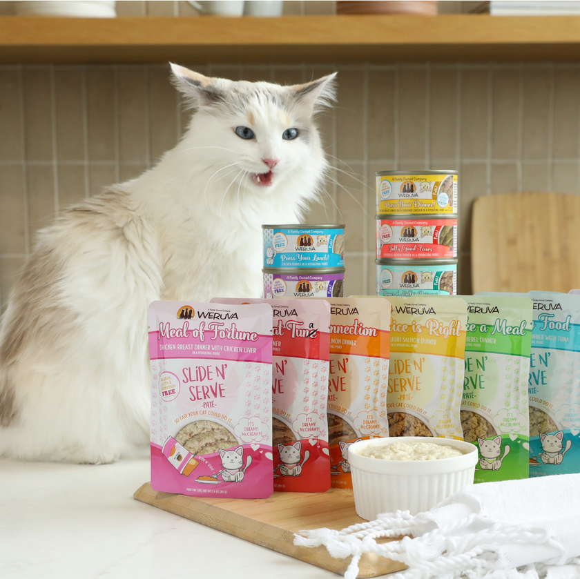 Weruva Cat Pate - Press Your Lunch! Chicken Dinner in Hydrating Puree (5.5oz)