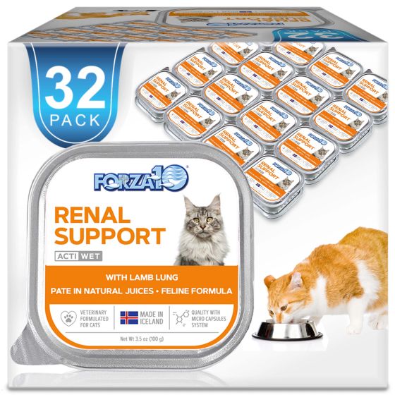 Forza 10 Wet Cat Food - Renal Lamb - 3.5oz
