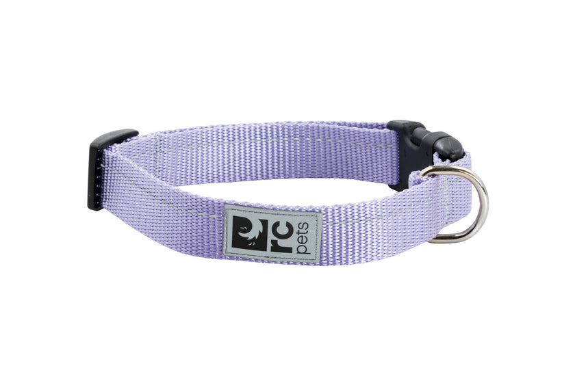 RC Pets Primary Clip Collar grey