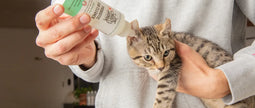 Skout's Honor - Probiotic Ear Cleaner - Cat