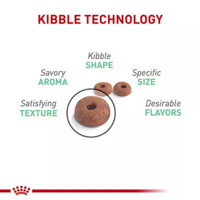 Royal Canin FCN Digestive Care (6lb)