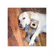 KONG Wild Knots Bears Small/Medium