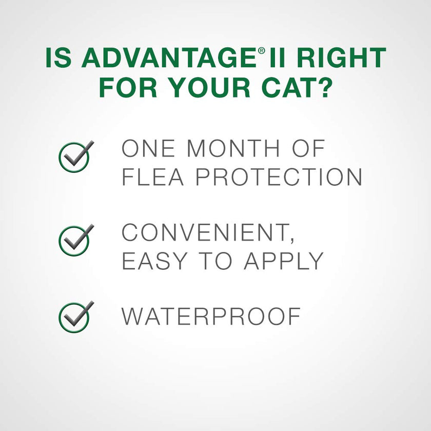Benefits of Advantage II for Cats
