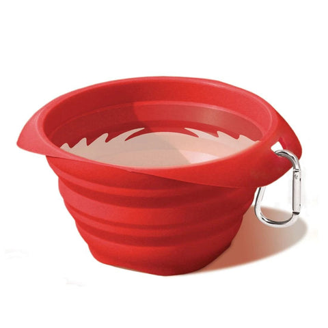 Food & Water Bowls