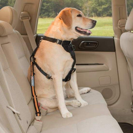 Kurgo Direct To Seatbelt Tether Black Orange Dog