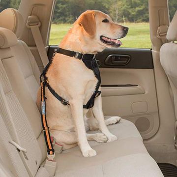 Kurgo Direct To Seatbelt Tether Coastal Blue Dog 1pc