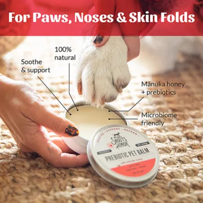 Skout's Honor - Moisturizing Pet Balm