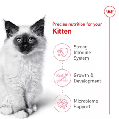 Royal Canin FHN Kitten Food (3lb)