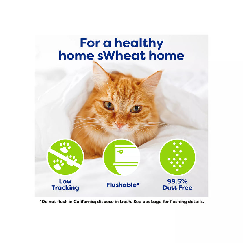 sWheat Scoop Multi Cat 12lb