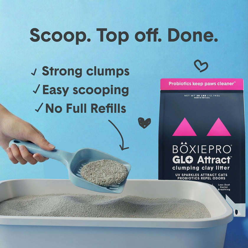 BoxieGlo Natural Attractions Clumping Clay Litter - Scent Free