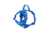 Momentum Harness