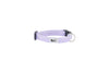 RC Pets Petite Clip Collar Primary 1/2" - Lilac - PXS
