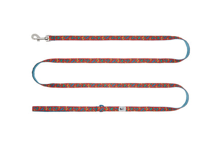 RC Pets Petite Dog Leash 1/2