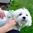 Safari Dog Flea Comb For Long & Short Haired Pets