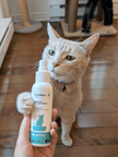 Purodora Lab Cleaner & Odor Neutralizer Spray For Litter Box, Apple & Lavender 120 ml