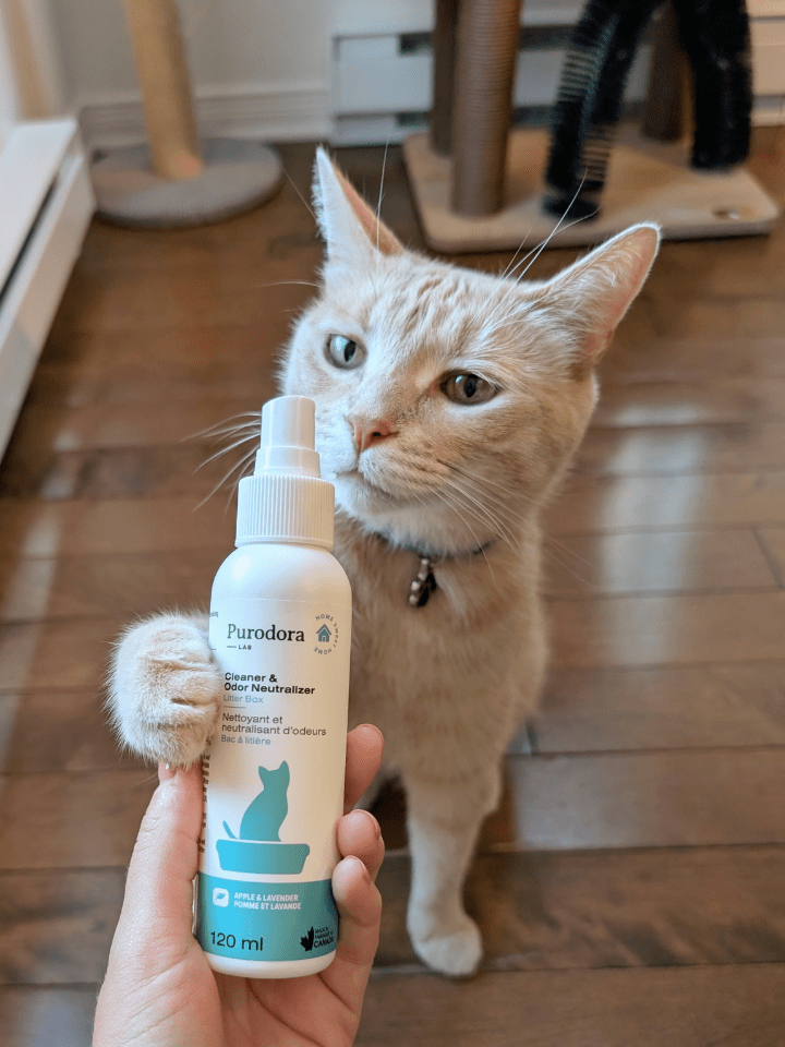 Purodora Lab Cleaner & Odor Neutralizer Spray For Litter Box, Apple & Lavender 120 ml