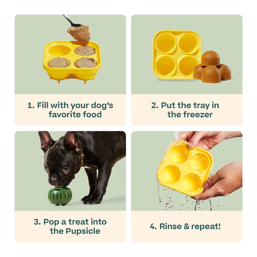 Woof Pupsicle - DIY Treat Tray