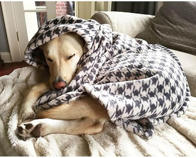 Tall Tails Dog Blanket