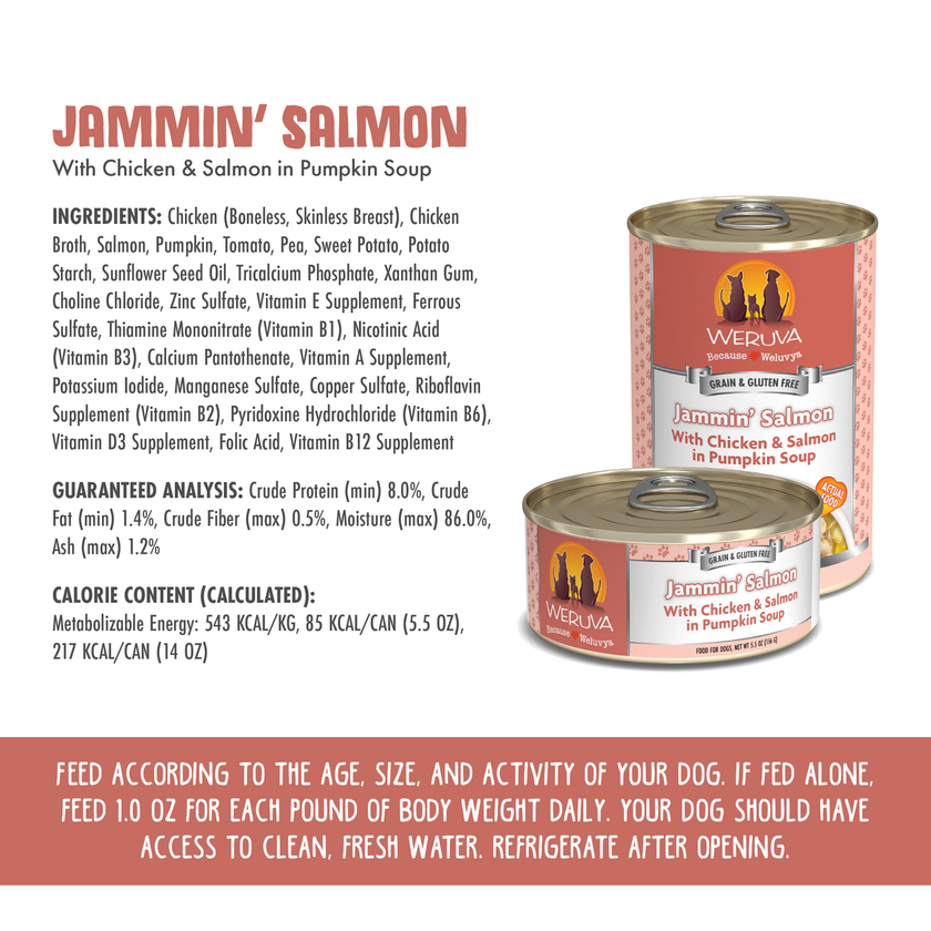 Weruva Classic Dog - Jammin' Salmon - Chicken & Salmon in Pumpkin Soup (14oz)