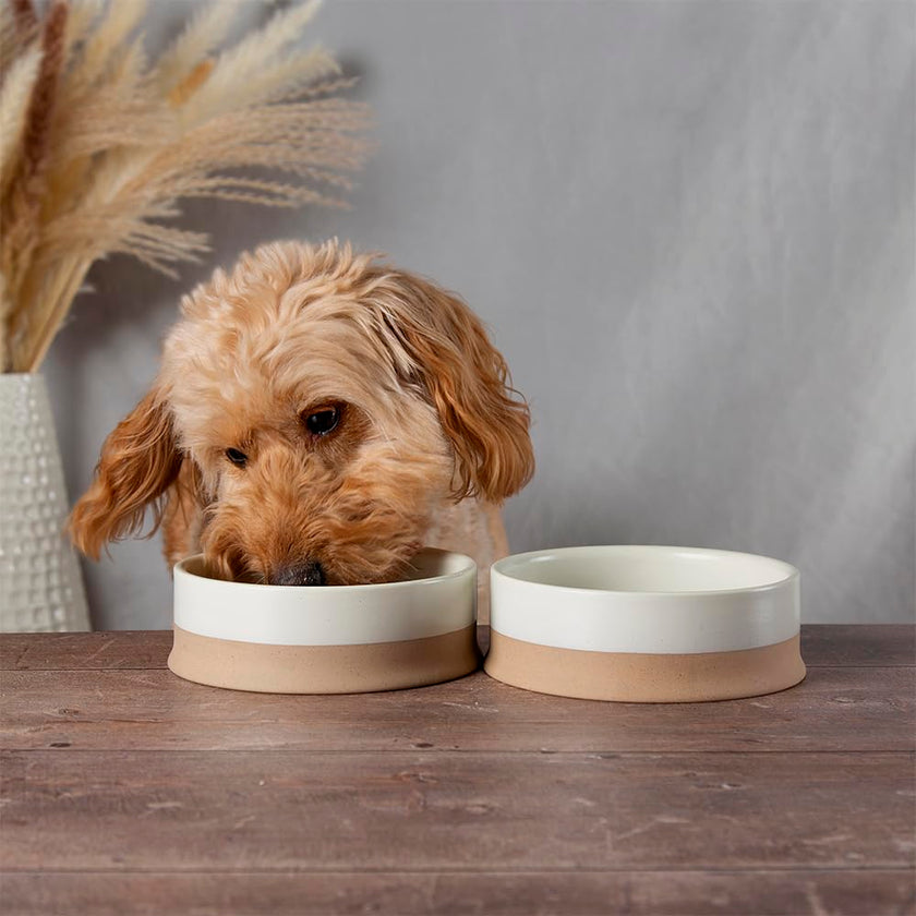 Scandi Non-Tip Pet Bowl - Cream - 0.5L (16cm/6.25in)