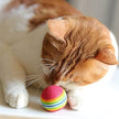 Rainbow Foam Cat Ball