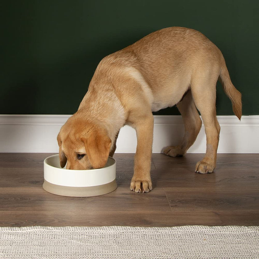 Scandi Non-Tip Pet Bowl - Cream - 0.4L (14cm/5.5in)