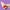 Stawberry Milk Squeaky Dog Toy