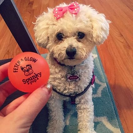 Spunky Pup Fetch & Glow Ball Dog Toy Small 