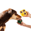 Woof Pupsicle - DIY Treat Tray