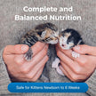 PetAg KMR Kitten Milk Replacer 16oz
