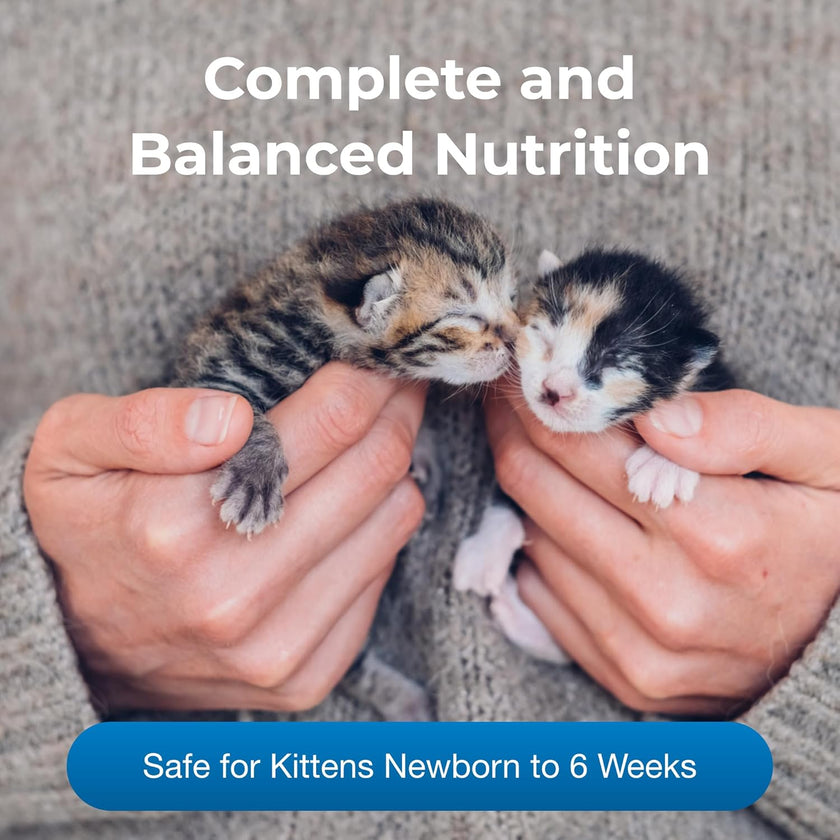 PetAg KMR Kitten Milk Replacer 16oz