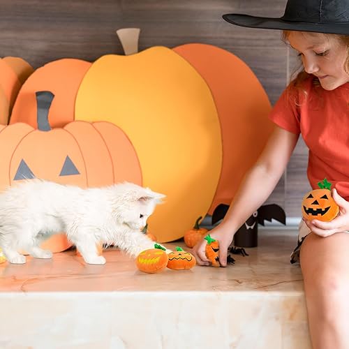 Punkin Pouncers Cat Toy