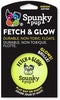 Spunky Pup Fetch & Glow Ball Dog Toy Medium