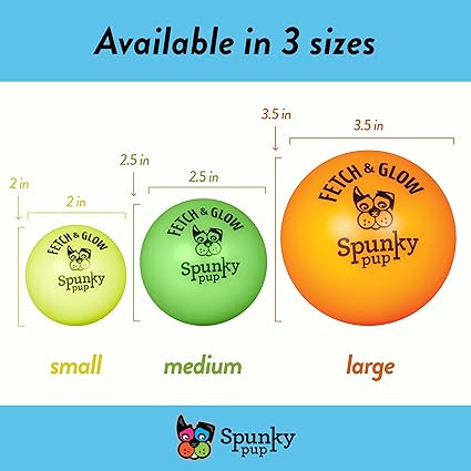 Spunky Pup Fetch & Glow Ball Dog Toy Small 
