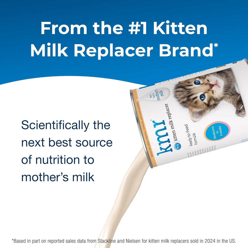 PetAg KMR Kitten Milk Replacer 16oz