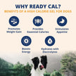 Under the Weather High Calorie Recovery Gel for Dogs - Appetite Support with Electrolytes (Ready Cal Plus)