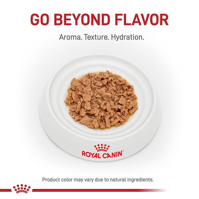 Royal Canin - Indoor - Morsels in Gravy (85g/3oz)