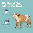 Simple Solution Disposable Dog Male Wraps - Size L