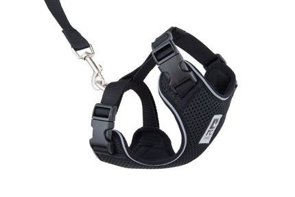 RC Pets Adventure Kitty Harness black