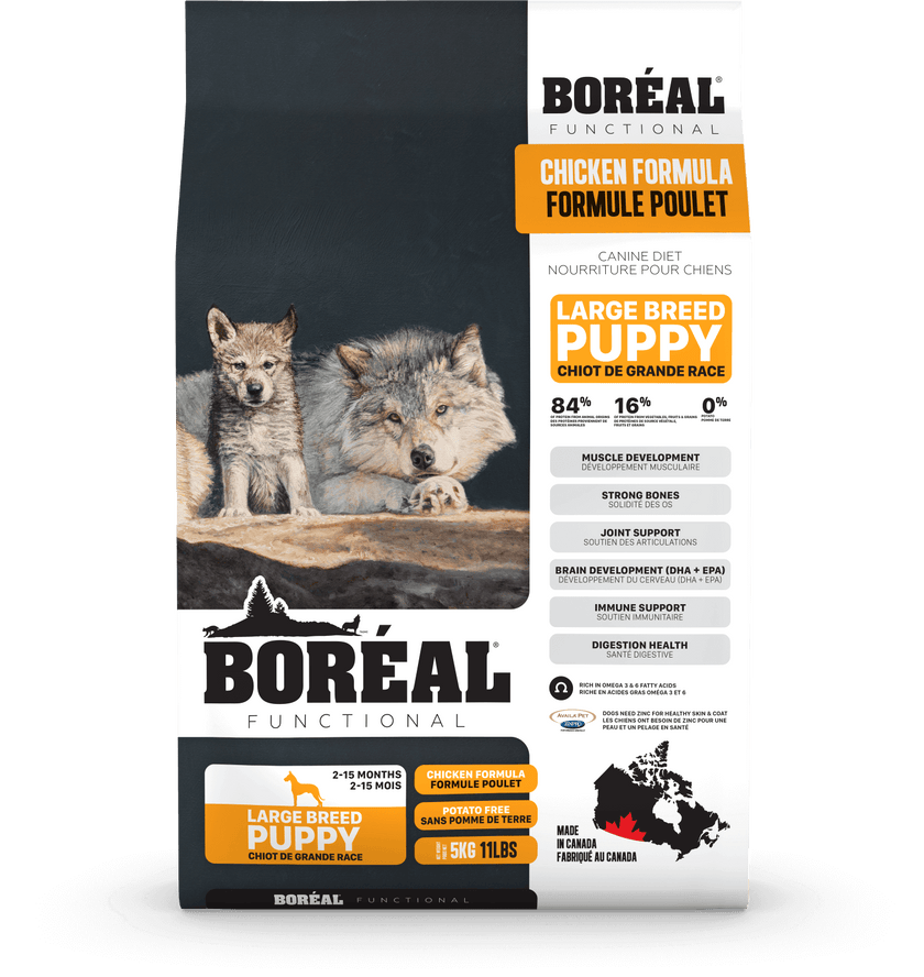 Large Breed Puppy Food