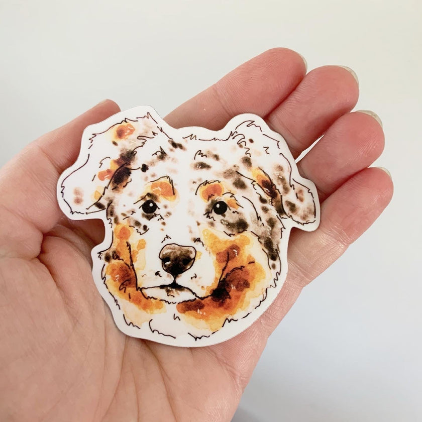 Australian Shepherd Sticker