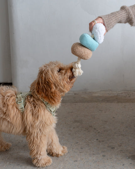 Dexypaws Plush Rope Dog Toy - Circular