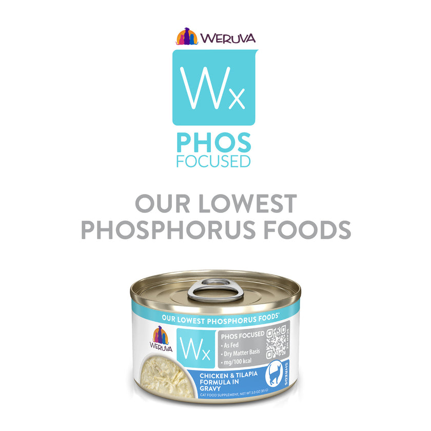 Weruva Wx Phos Focused - Chicken & Tilapia Formula in Gravy (3oz)