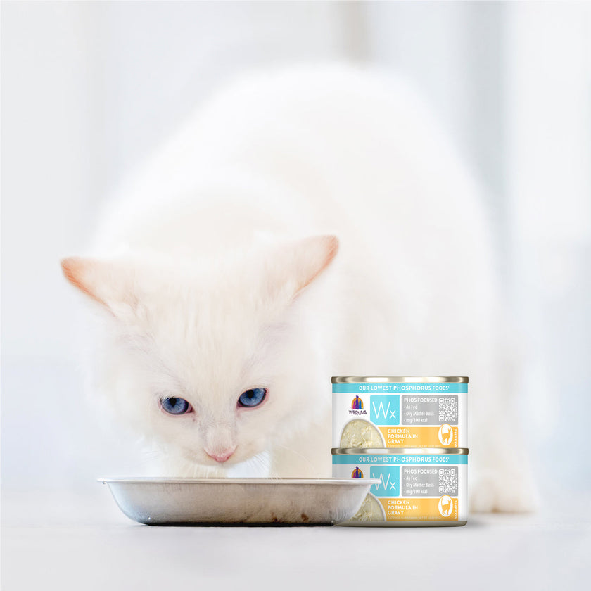 Weruva Wx Phos Focused - Chicken Shreds In Gravy (3oz)