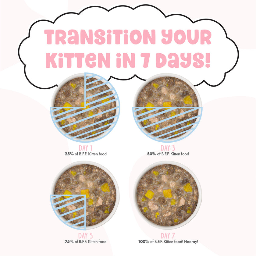 Weruva BFF Kitten - Pawsome Purrs! Chicken & Pumpkin Dinner in Gravy (2.8oz)