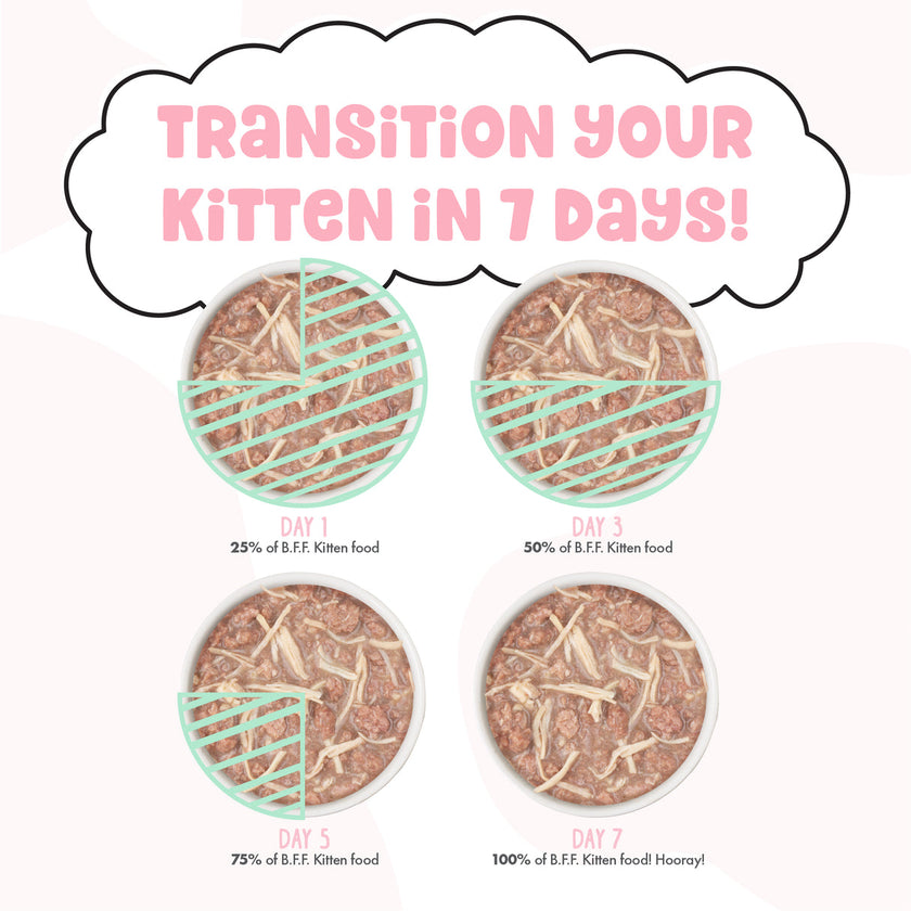 Weruva BFF Kitten Chicken Wet Kitten Food in Gravy - Chicken Cha Cha Cha! Recipe - 2.8oz