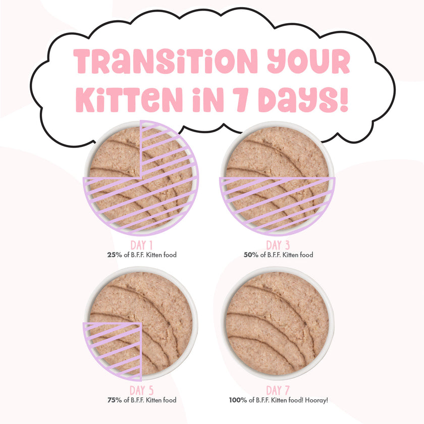 Weruva BFF Kitten Chicken Wet Kitten Food in Hydrating Purée - Cute to Boot! Recipe - 2.8oz