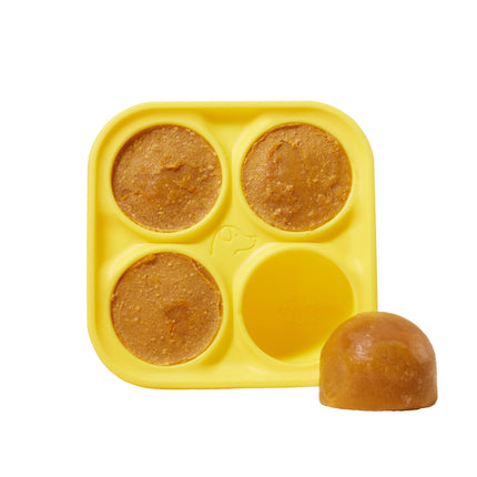 Woof Pupsicle - DIY Treat Tray